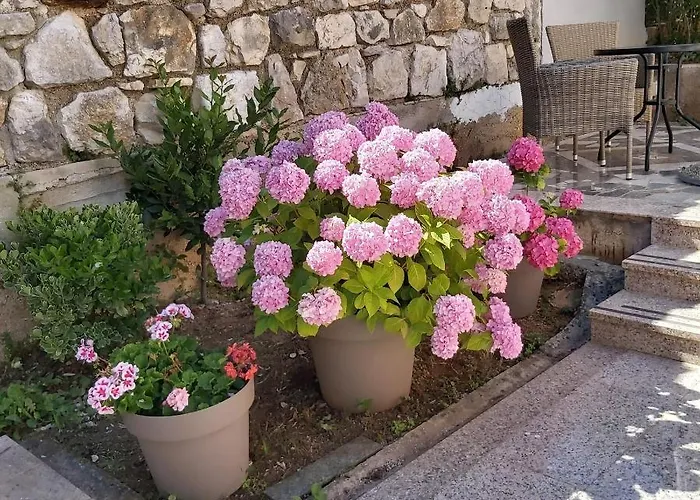 Apartmán Ella *