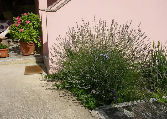Ella Rovinj