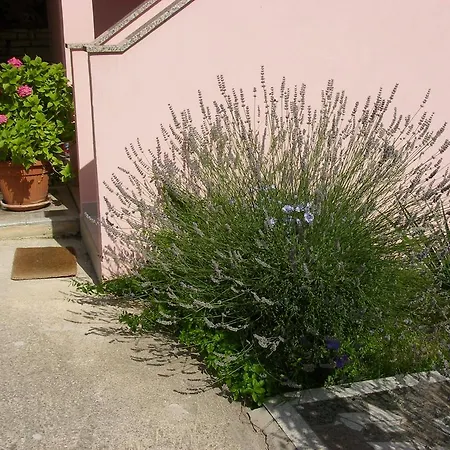 Ella Rovinj