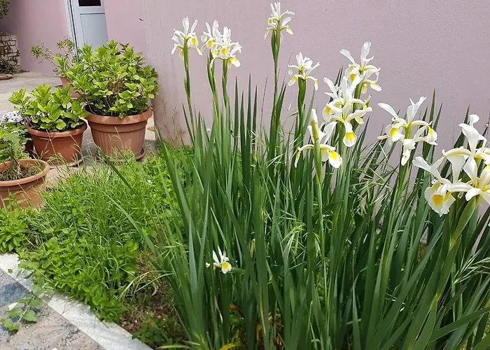 Διαμέρισμα Ella Ρόβινι