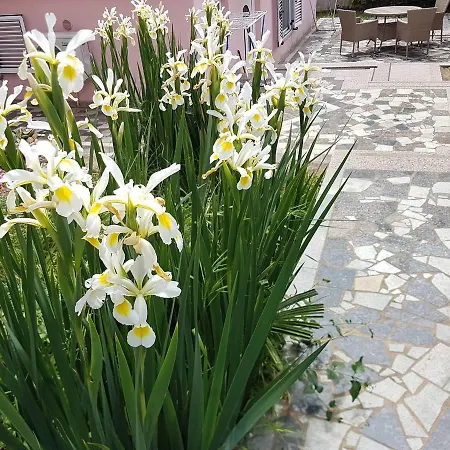 Ella * Ровинь